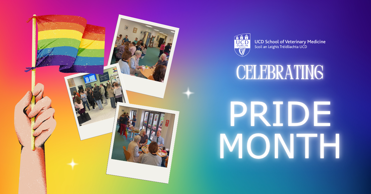 A colourful graphic celebrating Pride Month at the UCD School of Veterinary Medicine. On the left, a hand holds a glittery rainbow Pride flag against a gradient background. On the right, the UCD Vet Med logo appears above the text “Celebrating Pride Month.” Three polaroid-style photos show staff and students enjoying a Pride-themed coffee morning, chatting and sharing refreshments in a bright, wel